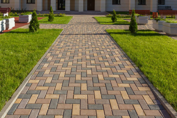 Best Driveway Paving Contractor  in Kershaw, SC
